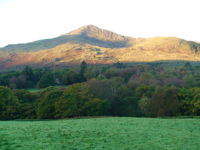 beddgelert forest