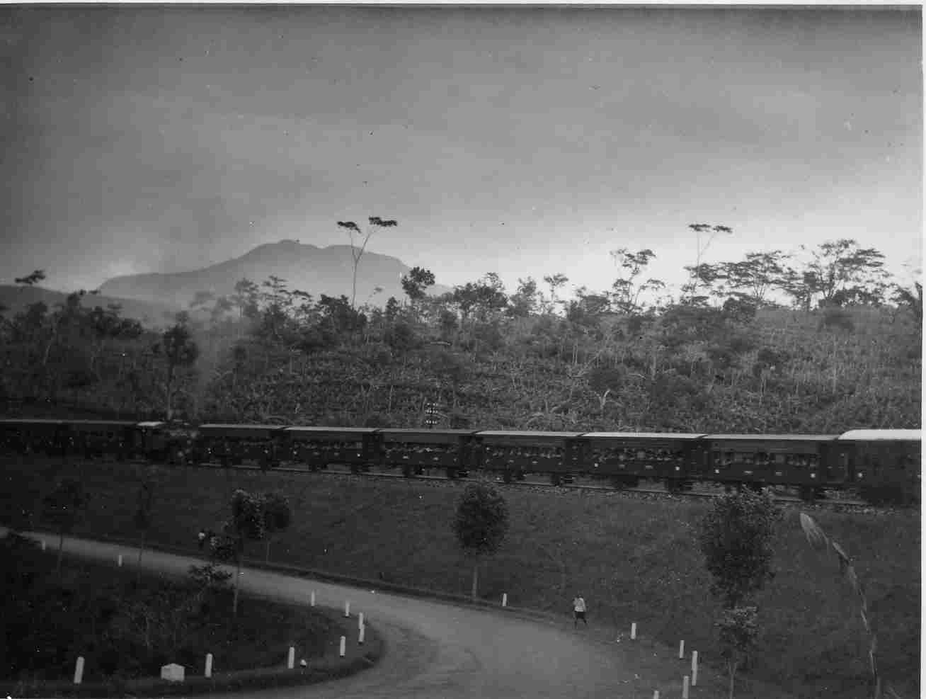 Long passenger train