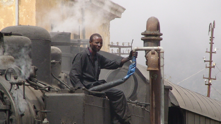 watering a mallet